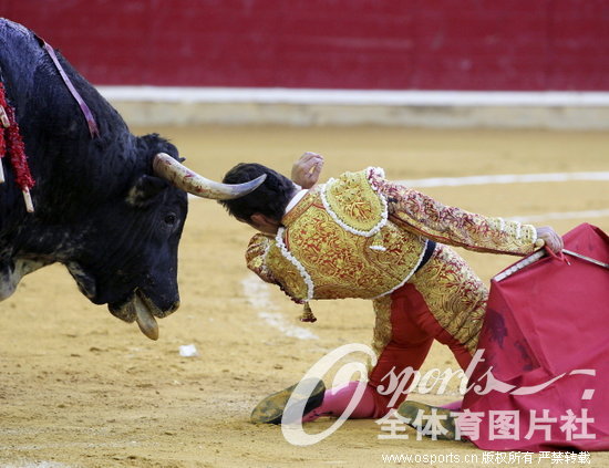 ��ţʿ���⹫ţ����