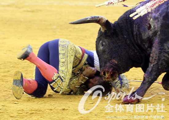 ��ţʿ���⹫ţ����