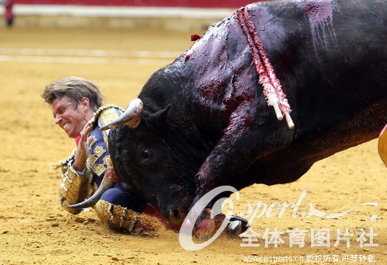 ��ţʿ���⹫ţ����