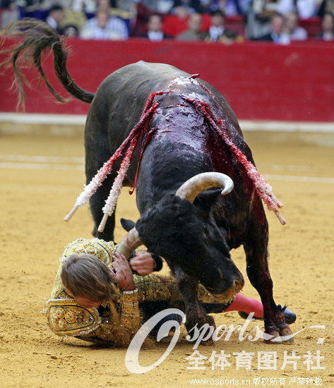 ��ţʿ���⹫ţ����