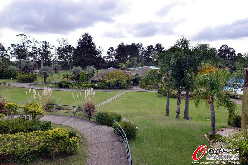 �Ƶ�������