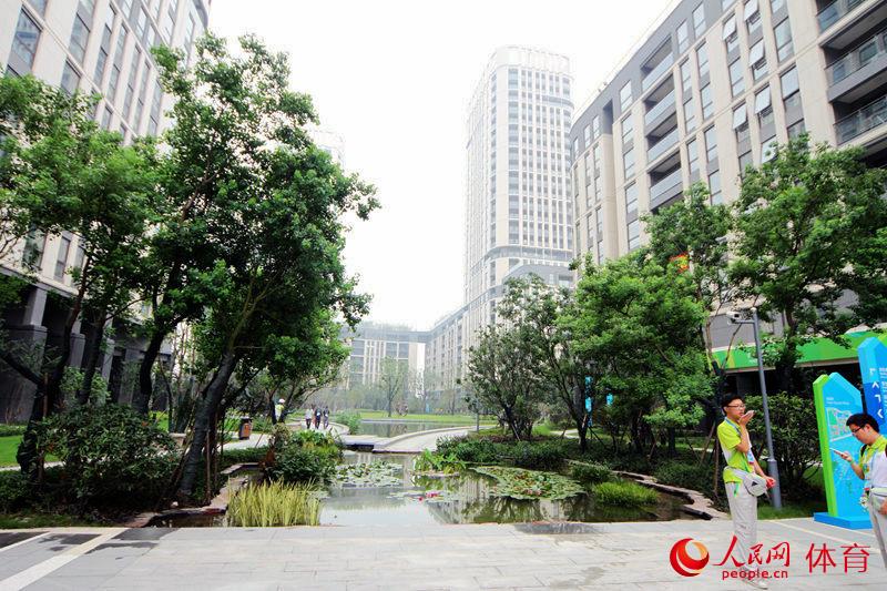 ��´廷������