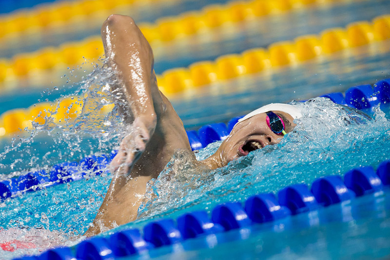 �����ڱ�����