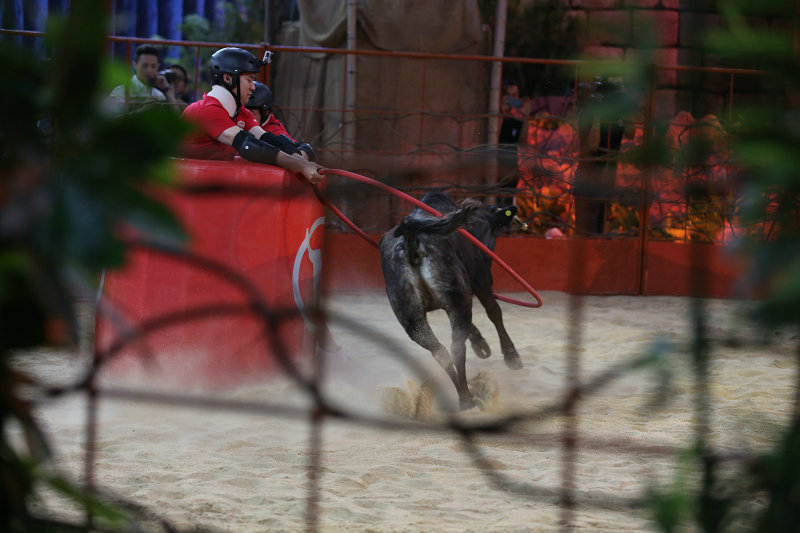 �й�ѡ�������͵�Сţ���������ͻ