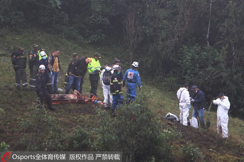 �����ֳ��Ҳ��̶�