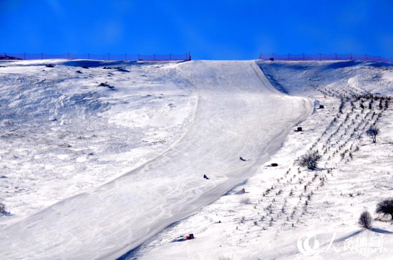 �ƶ���ѩ��