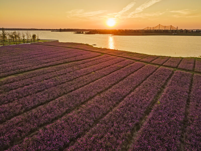 高淳美景：固城湖水慢城【29】