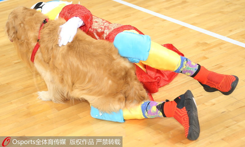 �����׸ֶӼ���������Ѽ���ë���㻨��