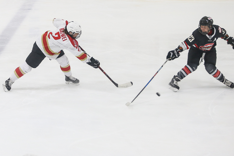 CWHL-萬科首勝中國德比 6-4力克昆侖鴻星【2】