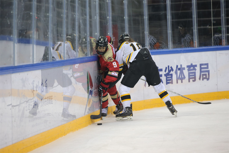 CWHL¶ 10-1ʤʤ5