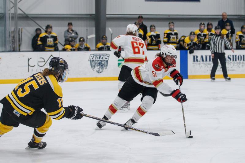 CWHL-ý ⵶2019սź졾3