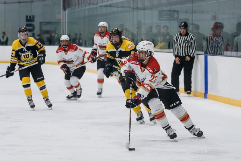 CWHL-ý ⵶2019սź졾5