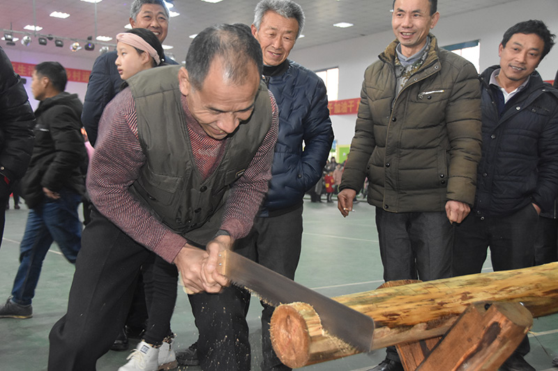 白沙村鋸木頭比賽 夏鈺茜攝